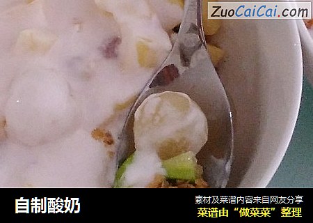 自制酸奶
