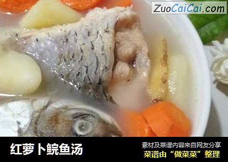 红萝卜鲩鱼汤