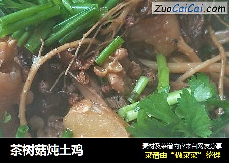 茶树菇炖土鸡