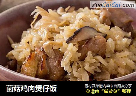 菌菇鸡肉煲仔饭