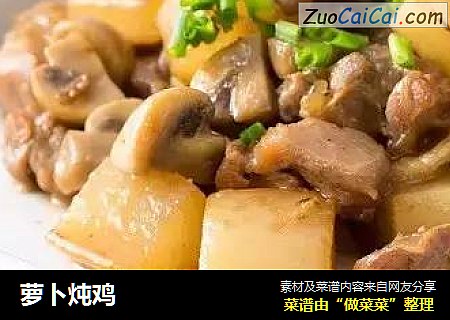 萝卜炖鸡