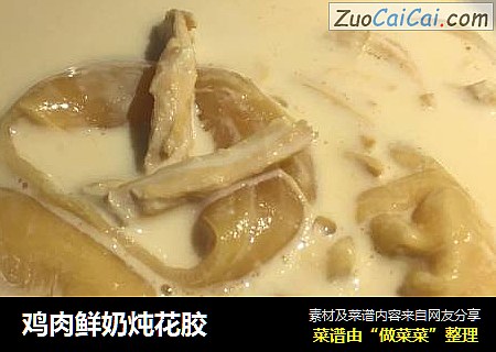 鸡肉鲜奶炖花胶