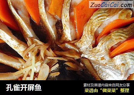 孔雀开屏鱼