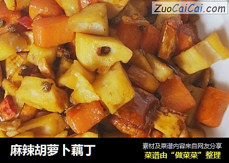 麻辣胡萝卜藕丁