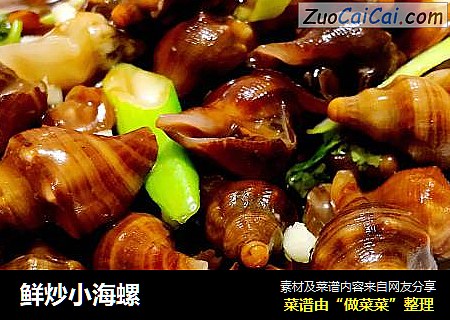 鲜炒小海螺