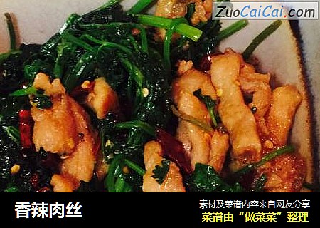 香辣肉丝