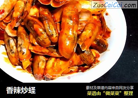 香辣炒蛏
