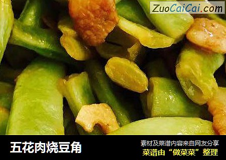 五花肉烧豆角