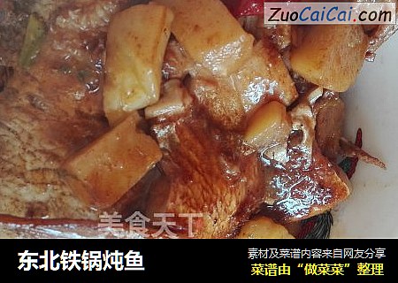 东北铁锅炖鱼