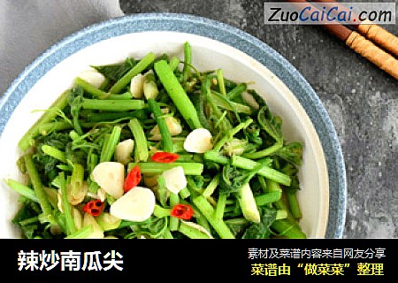 辣炒南瓜尖