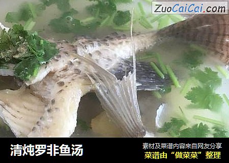 清炖罗非鱼汤