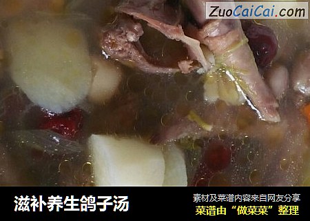 滋补养生鸽子汤