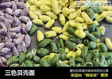 三色贝壳面