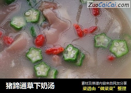 猪蹄通草下奶汤
