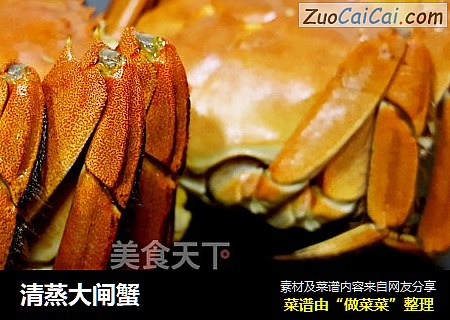 清蒸大闸蟹