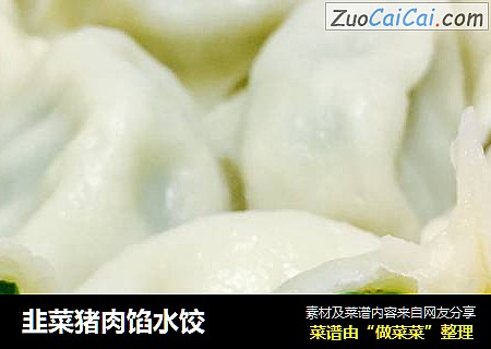 韭菜猪肉馅水饺