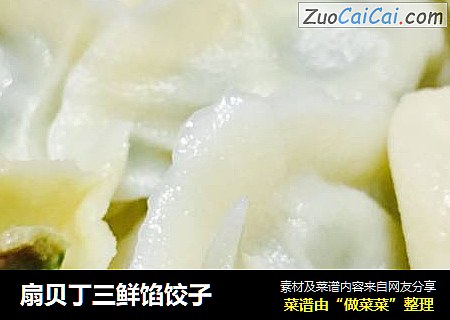 扇贝丁三鲜馅饺子