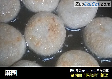 麻园