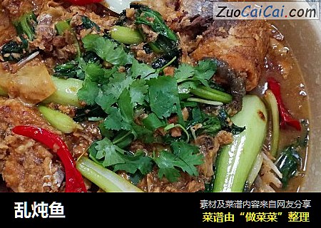 乱炖鱼