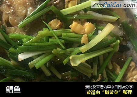鲳鱼