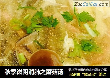 秋季滋阴润肺之蘑菇汤