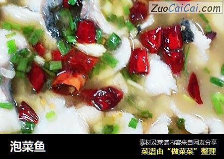 泡菜鱼