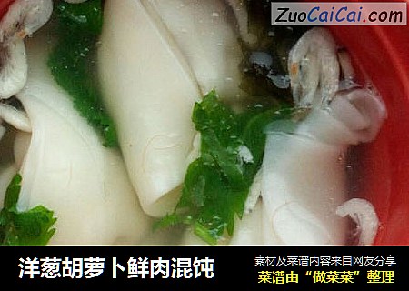 洋葱胡萝卜鲜肉混饨