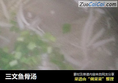 三文鱼骨汤
