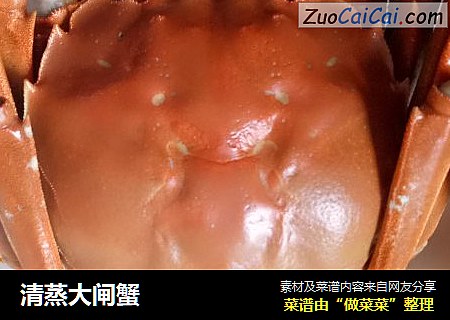清蒸大闸蟹