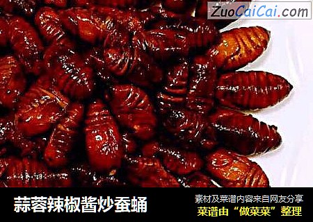 蒜蓉辣椒酱炒蚕蛹
