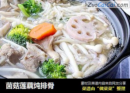 菌菇莲藕炖排骨