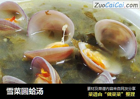 雪菜圆蛤汤