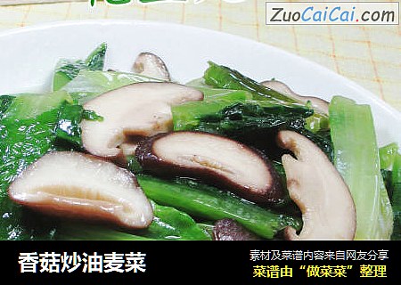 香菇炒油麦菜