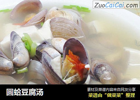 圆蛤豆腐汤