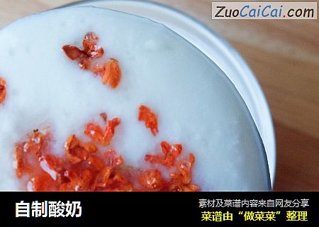 自制酸奶