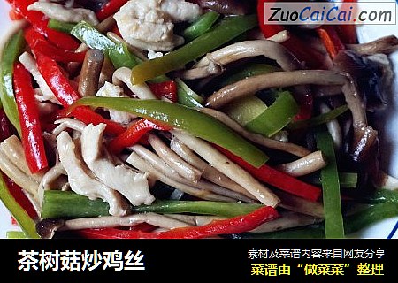 茶树菇炒鸡丝