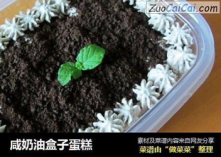 咸奶油盒子蛋糕