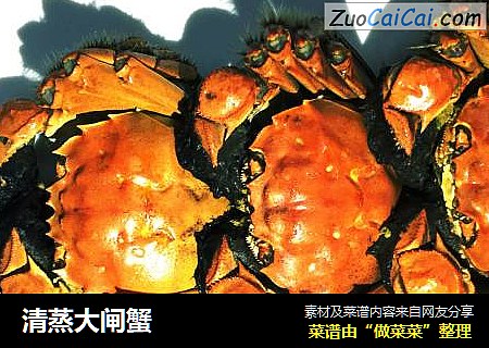 清蒸大闸蟹