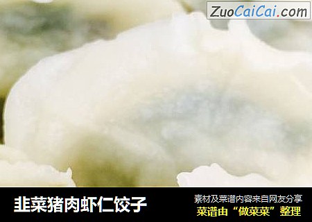 韭菜猪肉虾仁饺子