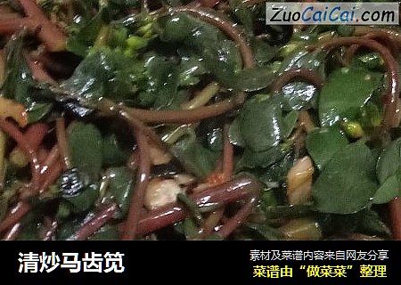 清炒马齿笕