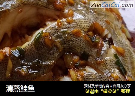 清蒸鲑鱼