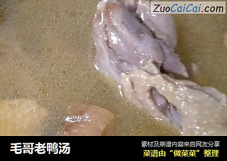 毛哥老鸭汤
