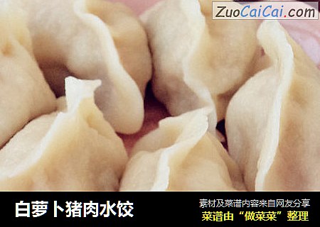 白萝卜猪肉水饺
