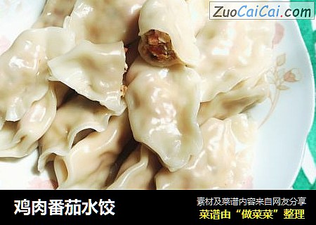鸡肉番茄水饺