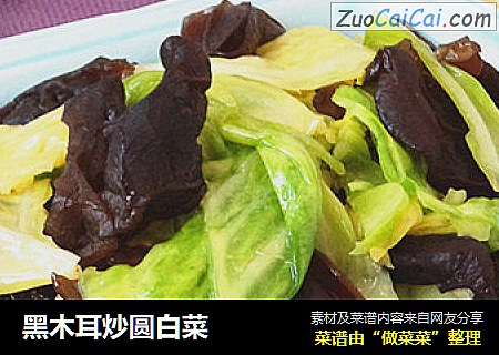 黑木耳炒圆白菜