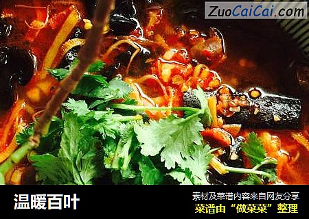 温暖百叶