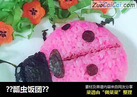 ??瓢虫饭团??