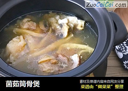 菌茹筒骨煲