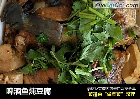 啤酒鱼炖豆腐