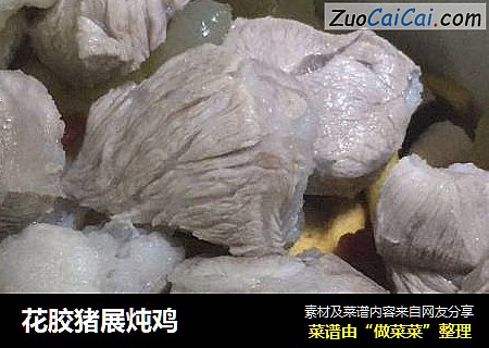 花胶猪展炖鸡
